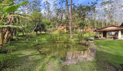 Sítio com 6 dormitórios à venda, 67000 m² por R$ 880.000,00 - Pouso Alto - Natividade da Serra/SP