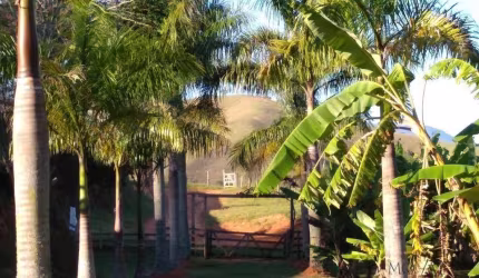 Fazenda 105 alqueires - Silveiras/SP