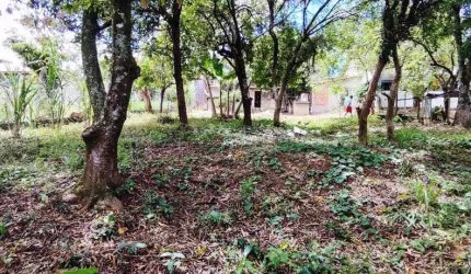 Terreno à venda, 976 m² por R$ 260.000,00 - Jardim Santa Hermínia - São José dos Campos/SP