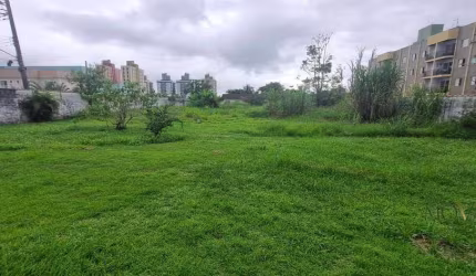 Área à venda, 4032 m² por R$ 8.000.000,00 - Massaguaçu - Caraguatatuba/SP