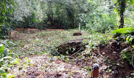 Terreno à venda, 420 m² por R$ 270.000,00 - Park Imperial - Caraguatatuba/SP