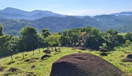 Terreno à venda, 440 m² por R$ 9.900.000,00 - Estrada Paraty-cunha - Paraty/RJ