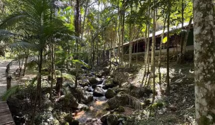 Venda de Sítio Encantador com 47.232,84m² (4,7 Hectares) em Biguaçu – SC