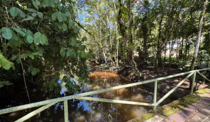Linda chácara à venda a 3 km da Rodovia dos Tamoios sentido Pouso Alto