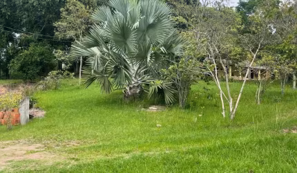 Sítio para Venda em Saquarema, Bonsucesso (Bacaxá)