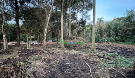 Terreno Ibiúna de 1.000 metros próximo ao Centro