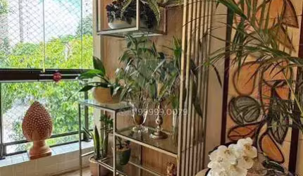 Apartamento em Apipucos  -  Recife