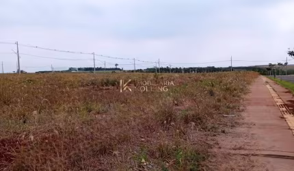 TERRENO À VENDA LOCALIZADO EM NOVO SOBRADINHO, TOLEDO - PR