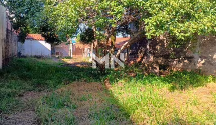 Terreno venda Nossa Senhora Aparecida 451,30m²