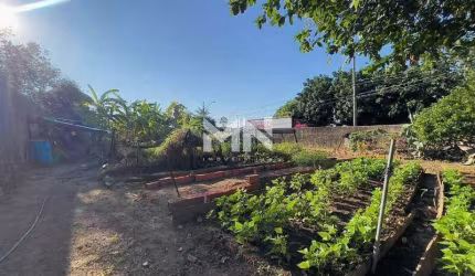 Terreno à venda no bairro Presidente Medici