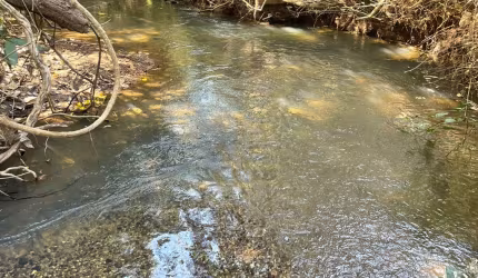 vendo chácara  com 2 mil metros saída pra senador Canedo em calzinha de Goiás