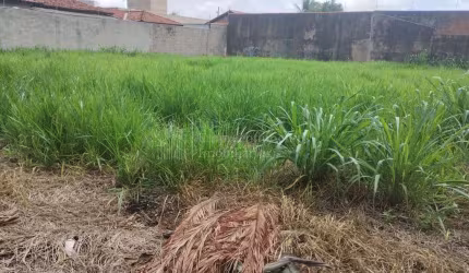 Terreno à venda, ÓTIMA LOCALIZAÇÃO, JARDIM AUTONOMISTA, CAMPO GRANDE - MS