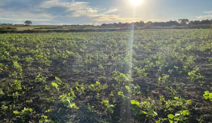 Fazenda à venda em Bodoquena, ZONA RURAL, BODOQUENA - MS