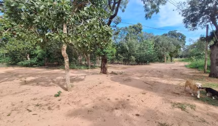 Chácara à venda, Sitio Santa Maria, CAMPO GRANDE - MS