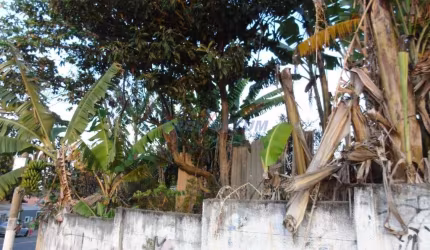 Terreno comercial à venda na Rua Doutor Henrique Augusto Vogel, 9, Jardim São Pedro, Campinas por R$ 320.000