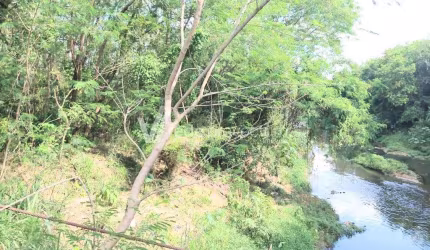 Chácara / sítio com 3 quartos à venda na Avenida Doutor Luís de Tella, s/n°, Barão Geraldo, Campinas, 60 m2 por R$ 400.000