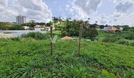 Terreno à venda na Rua Doutor Júlio João Arthaud Berthet, s/n°, Jardim das Paineiras, Campinas por R$ 480.000