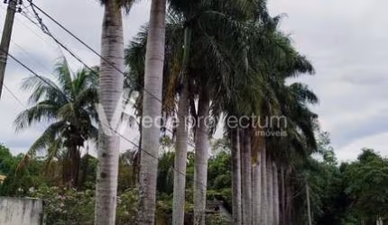 Chácara / sítio com 4 quartos à venda na Olyntho de Barros, 615, Residencial Burato, Campinas, 474 m2 por R$ 1.980.000