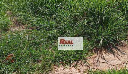 Terreno à venda, 250 m² por R$ 140.000,00 - Presidente - Araçatuba/SP
