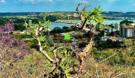 Terreno à venda na Alto Belvedere, 420, Centro, Lagoa Santa por R$ 336.000
