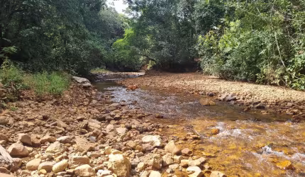A&M IMOVEIS VENDE EXELENTE CHACARA COM 46,89 HECTARES TODA FORMADA NA FERCAL COM RIO