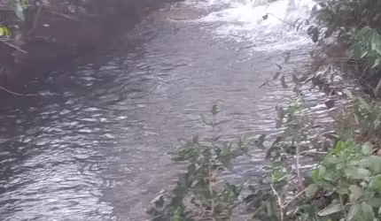 A&M IMOVEIS VENDE 27.64 HECTARES ENTRE SAO JOAO DA AIANCA E AUTO PARAISO GO