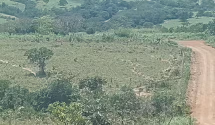 A&M IMOVEIS VENDE EXELENTE FAZENDA COM 52,59HECTARES