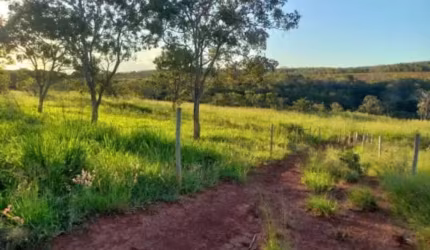 VENDO PROPRIEDADE RURAL - 33 HECTARES | REGIÃO DE SÃO GABRIEL /GO - BRASILINHA/GO