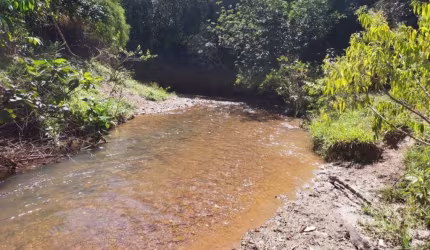 A&M Imoveis vende exelente fazenda em Cocalzinho com 87.8 hectares