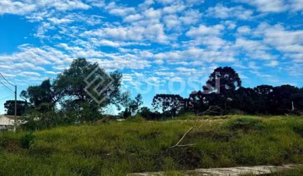 Terreno à venda em Guarapuava/PR