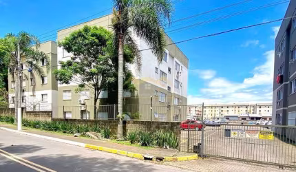 Apartamento Amplo No Condomínio São Paulo