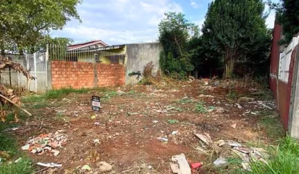Terreno de oportunidade na Morada do Bosque