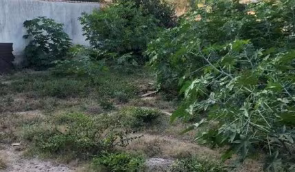 Terreno à venda, 970 m² por R$ 1.400.000,00 - Glória - Macaé/RJ