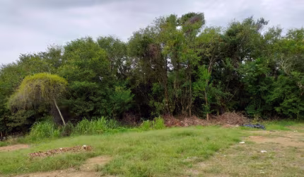 Terreno, 2050 m² - venda por R$ 1.700.000,00 ou aluguel por R$ 17.152,17/mês - Novo Cavaleiro - Macaé/RJ