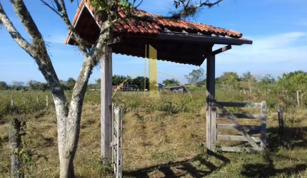 Amplo Sítio