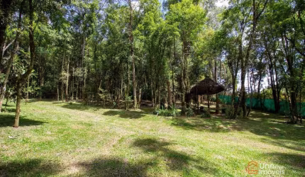 Chácara à venda, 20180 m² por R$ 690.000,00 - Popular Nova - Campo Largo/PR
