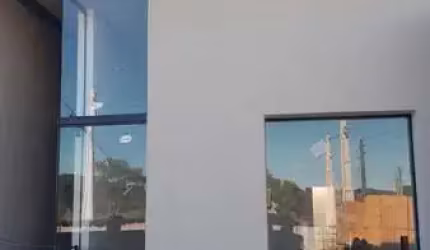 Geminados na Planta