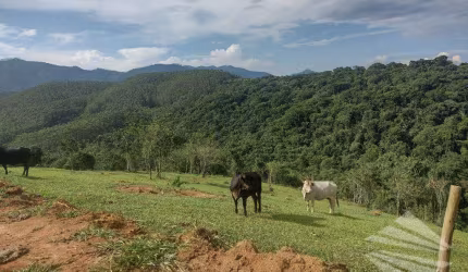 Terreno à venda, 20.094,07m² - Poço Grande - Tremembé/SP