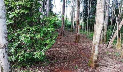 Terreno com construção à venda, 165m² - Barreiro - Taubaté/SP
