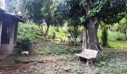 Terreno à venda, 316,68m² - Quiririm - Taubaté/SP
