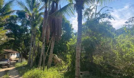 Sítio para locação ou venda em Três Vendas - Araruama/RJ