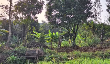 Terreno escriturado na Comunidade Ribeirão