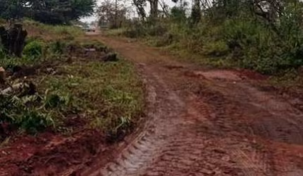 Terreno para Venda em Guaratuba, BAL. ELIANA