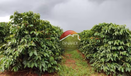 Área à venda, 1040000 m² por R$ 30.000.000,00 - Zona Rural - São Sebastião do Paraíso/MG