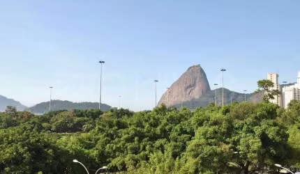 Apartamento à venda no bairro Flamengo - Rio de Janeiro/RJ (237)