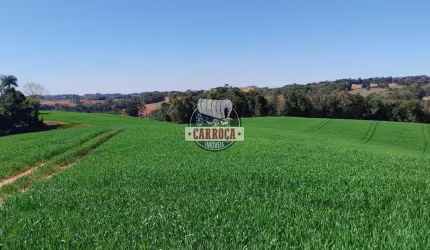 Chácara / sítio com 1 quarto à venda na 511, Catanduvas do Sul, Contenda, 300 m2 por R$ 4.000.000