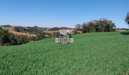 Fazenda à venda na 511, Catanduvas do Sul, Contenda, 300 m2 por R$ 4.000.000