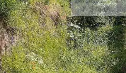 VENDO TERRENO NO JARDIM MARIA CLARA