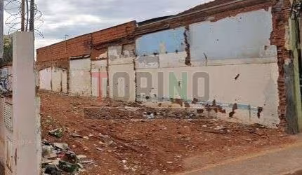 Terreno - Ribeirão Preto - Campos Eliseos - Região Central