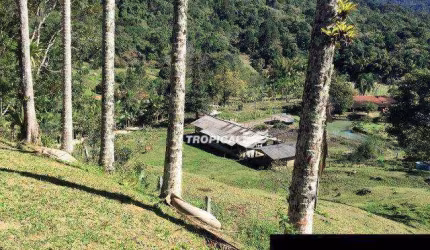 Terreno à venda com Sítio de 117.000,00 m² e Galpão de 300,00 m², por R$ 2.375.000 - Gaspar Alto - Gaspar/SC